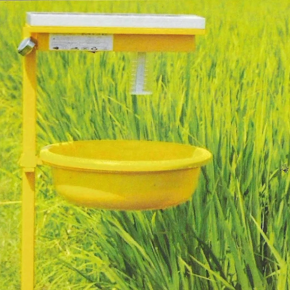 yamira solar